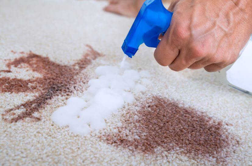 carpet cleaning advice